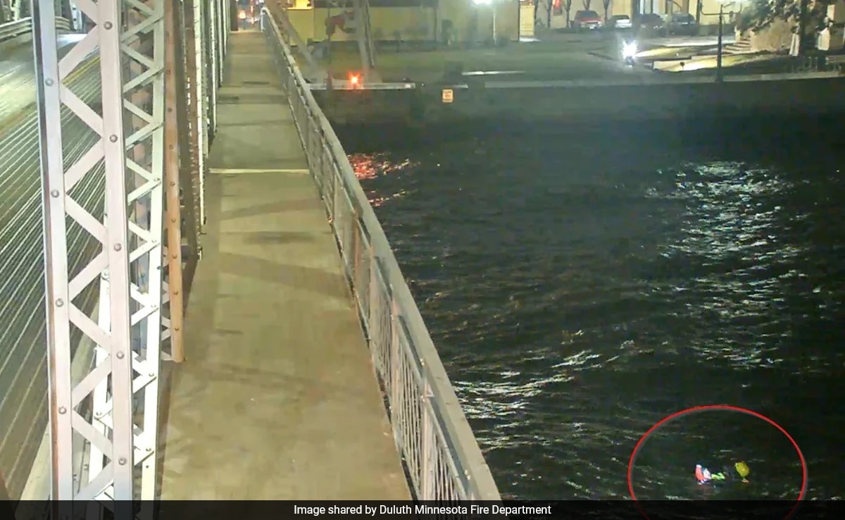 Frightened Dog Caught In 8-Foot Waves, Rescued By Firefighters In US