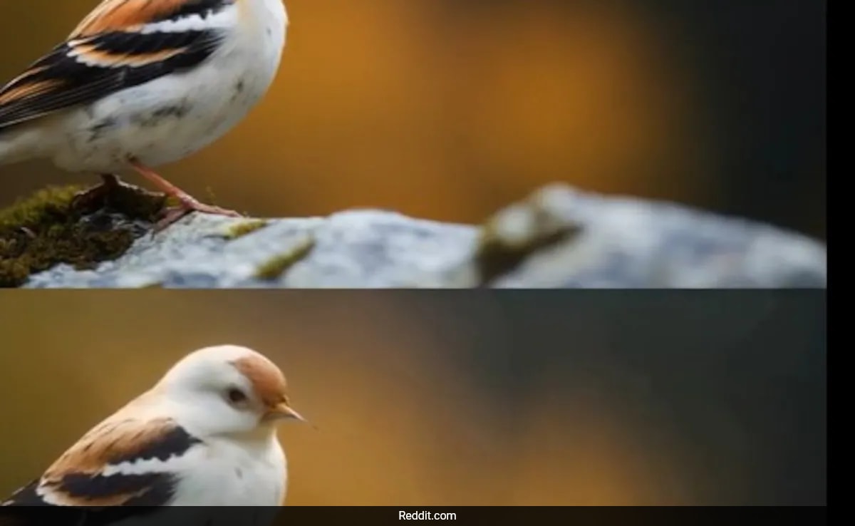 Video Shows How Artificial Intelligence Can Make Filmmaking Incredible