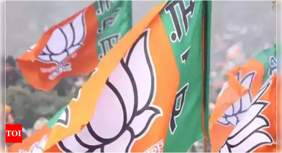 Lok Sabha polls: BJP appoints election in-charges, co-in-charges for 23 states, UTs | India News