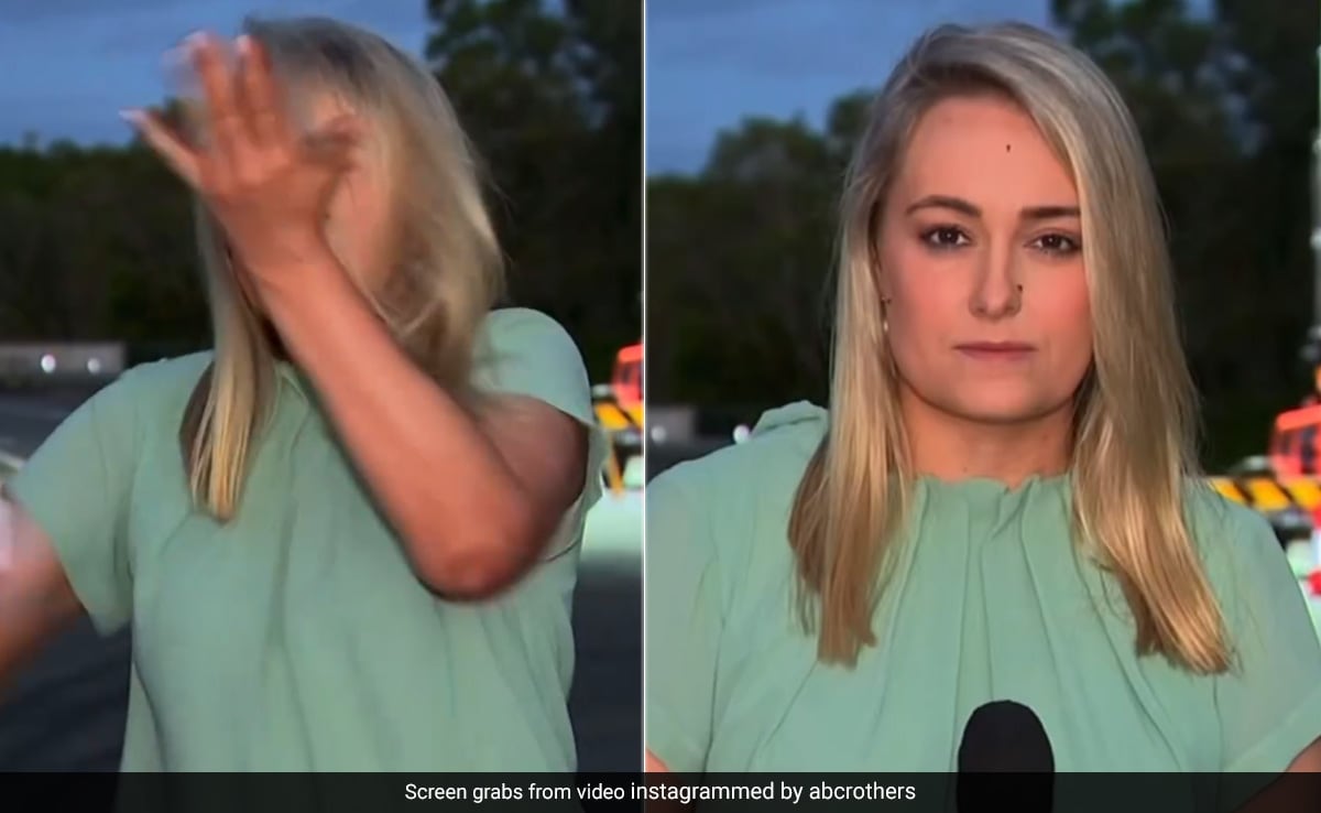 Australian Reporter Slaps Herself On Live TV After A Mosquito Attacks Her, Internet In Splits