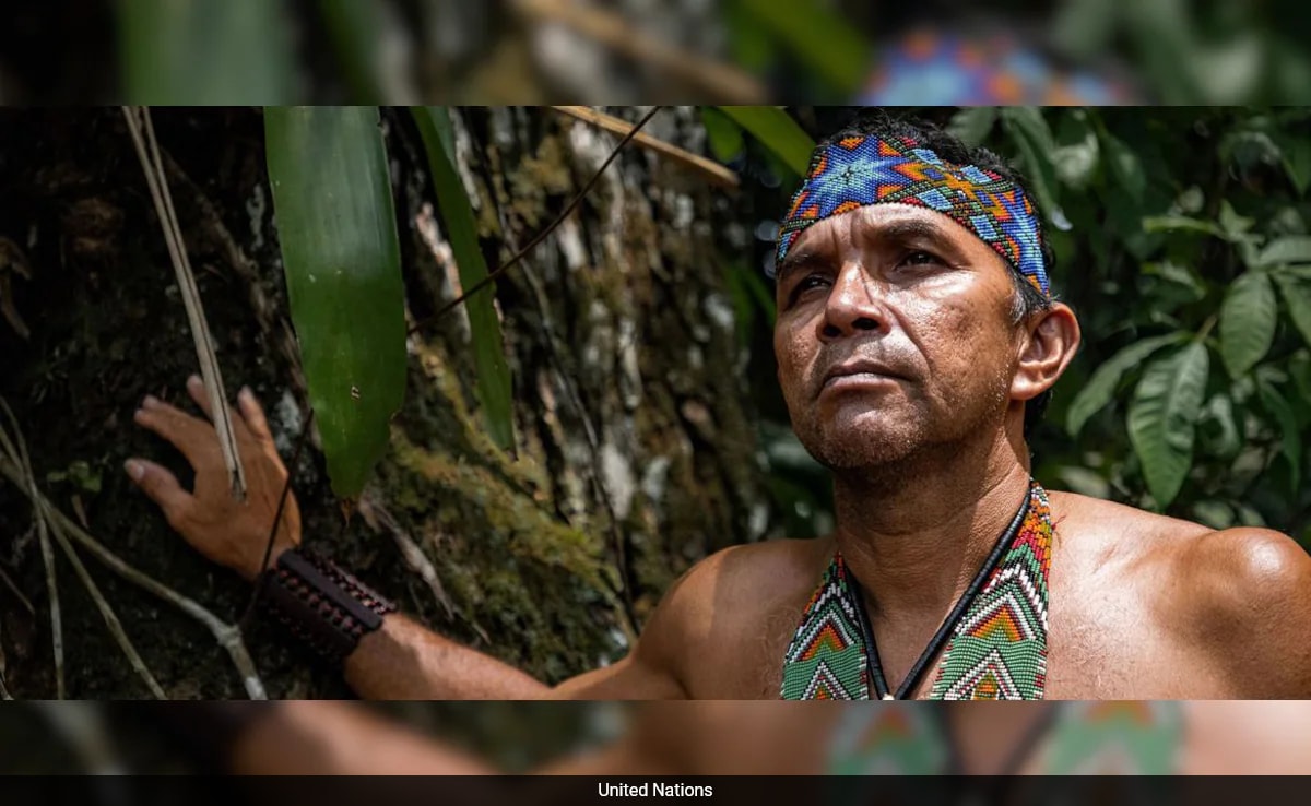 Spotlight On Indigenous Peoples, Guardians Of Our Planet