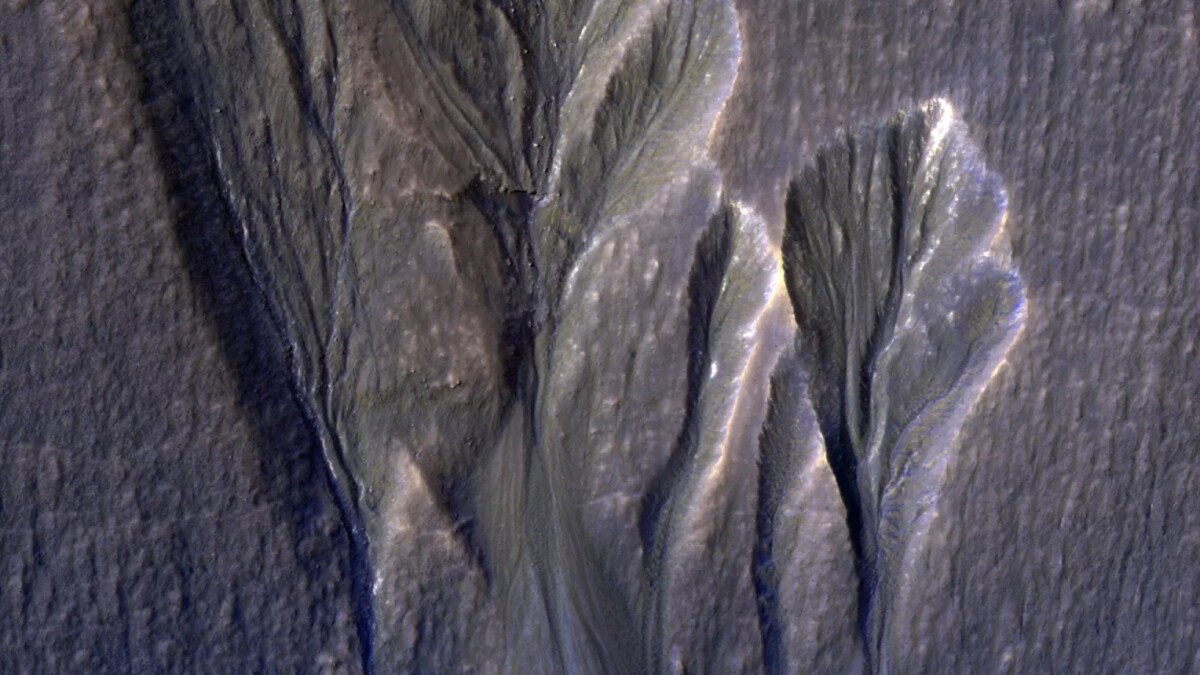 NASA Study Suggests Microbial Life May Thrive Beneath Martian Ice