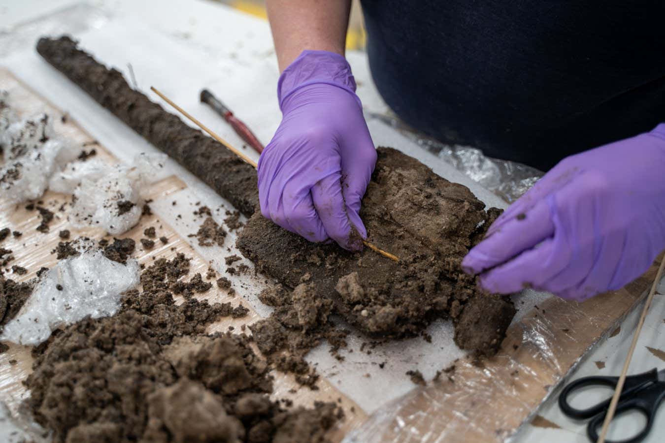 Extremely rare Bronze Age wooden tool found in English trench