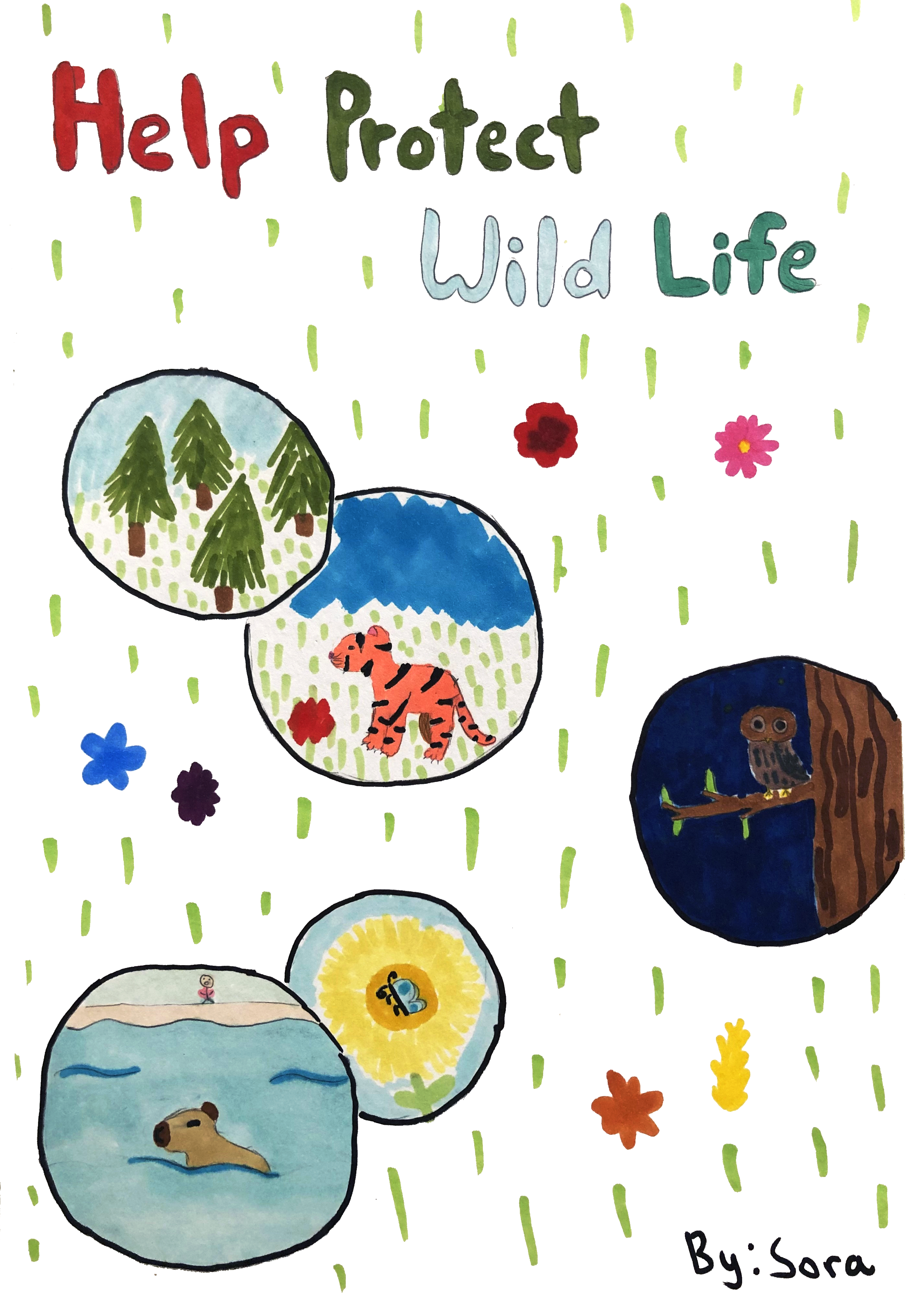 Earth Science Showcase – Kids Art Collection