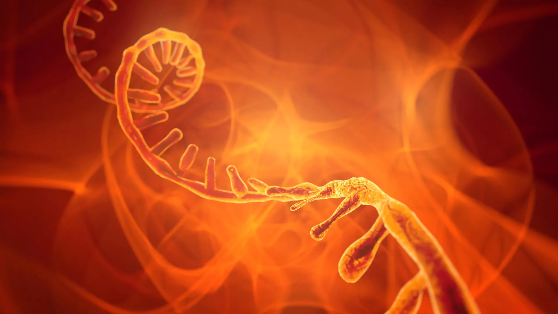 The sugar that sparked life: Why ribose was RNA’s first choice