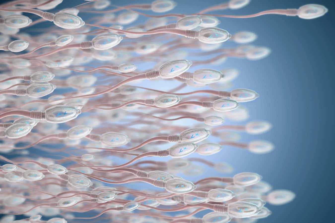 Sperm’s evolutionary origins go back before multicellular animals