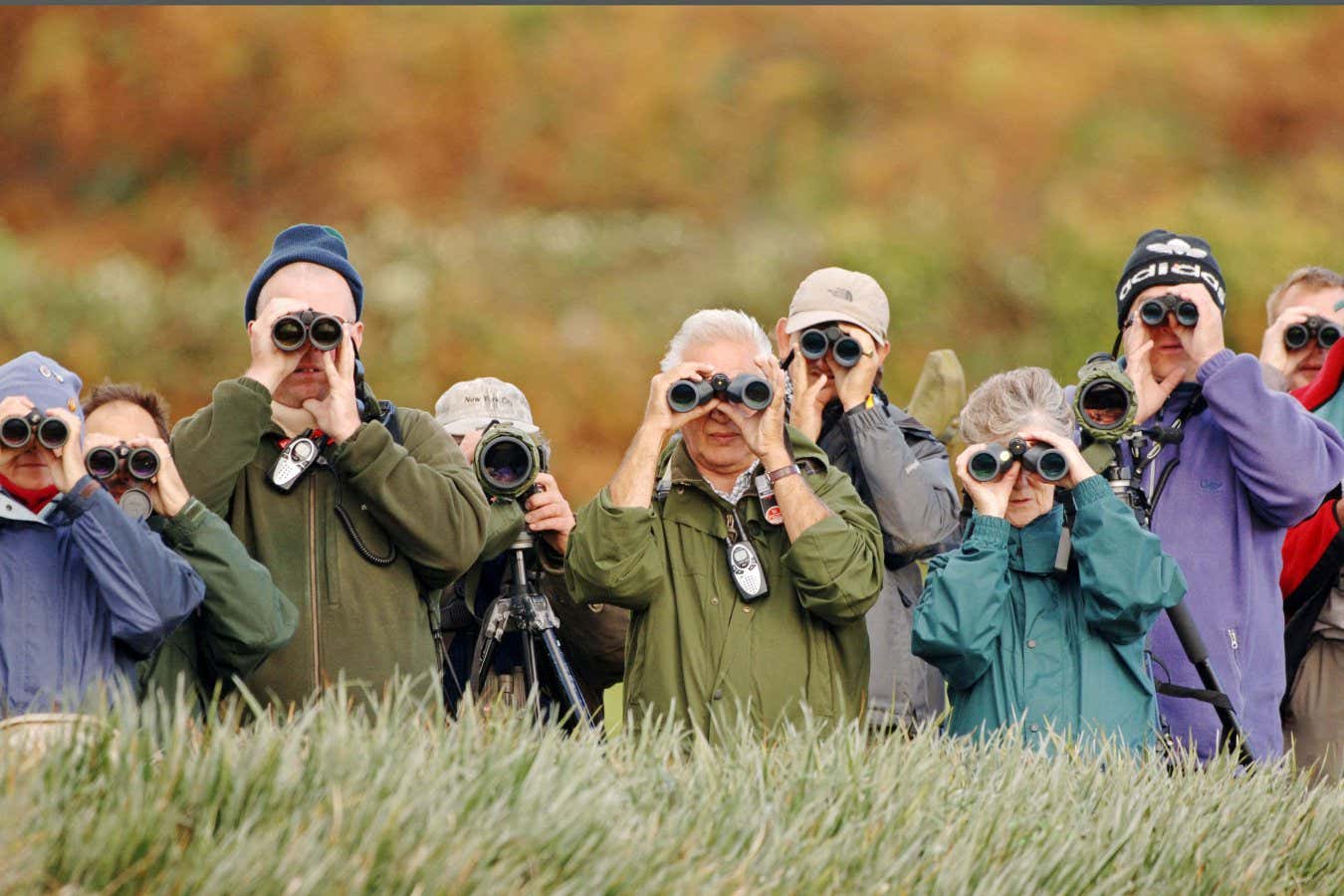 Birdwatching may reshape the brain and build its buffer against ageing