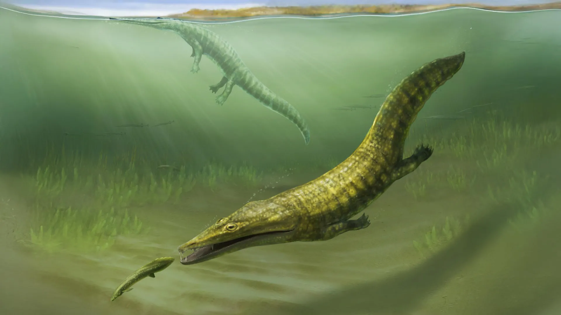 Lost fossils reveal sea monsters that took over after Earth’s greatest extinction