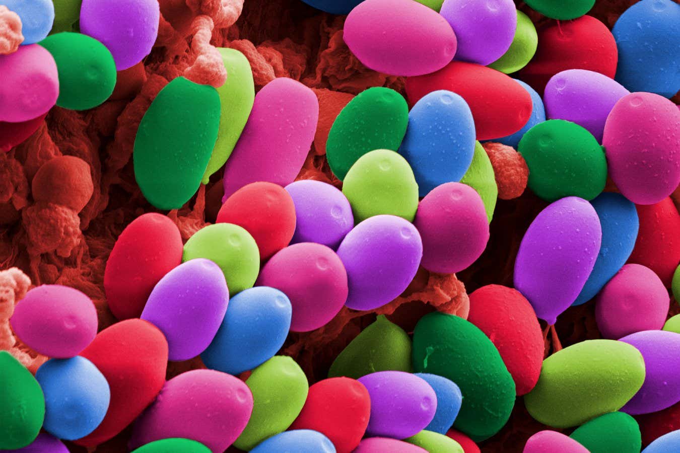 Psychedelics may be no better than antidepressants for depression